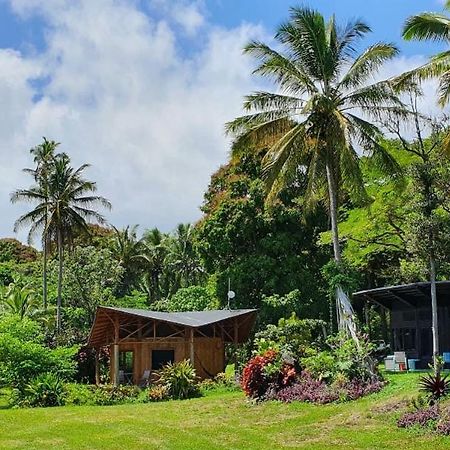 Kalani Oceanside Retreat Villa Pahoa Ngoại thất bức ảnh