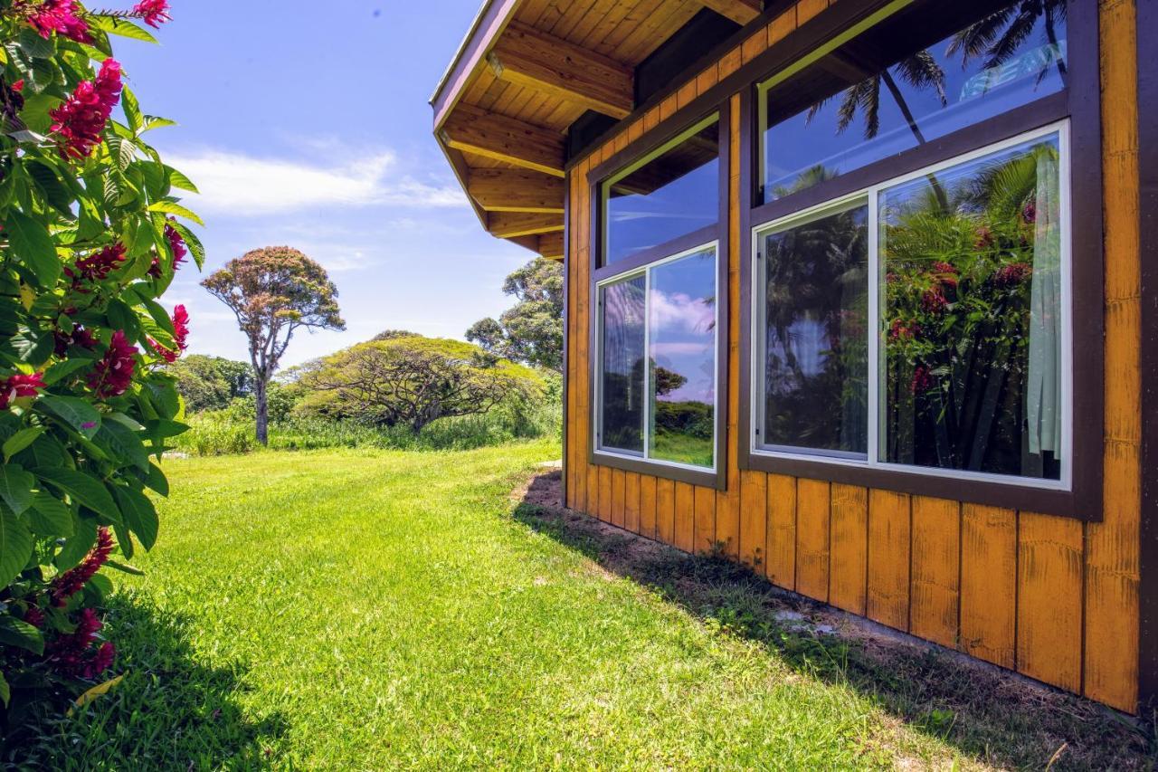 Kalani Oceanside Retreat Villa Pahoa Ngoại thất bức ảnh