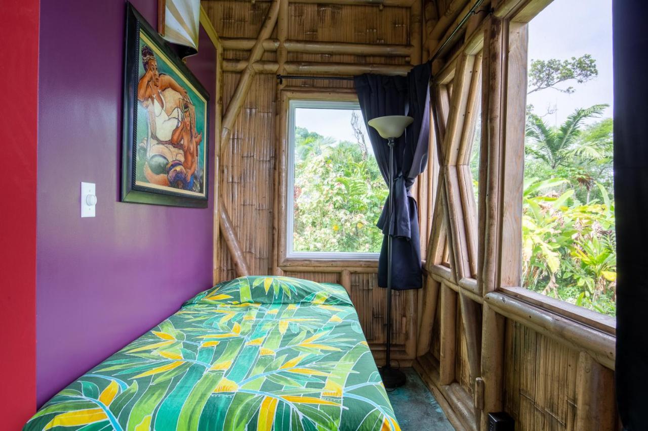 Kalani Oceanside Retreat Villa Pahoa Ngoại thất bức ảnh