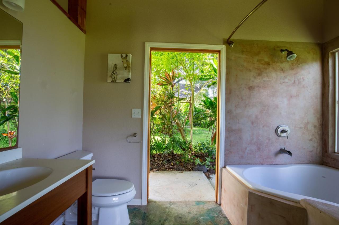 Kalani Oceanside Retreat Villa Pahoa Ngoại thất bức ảnh
