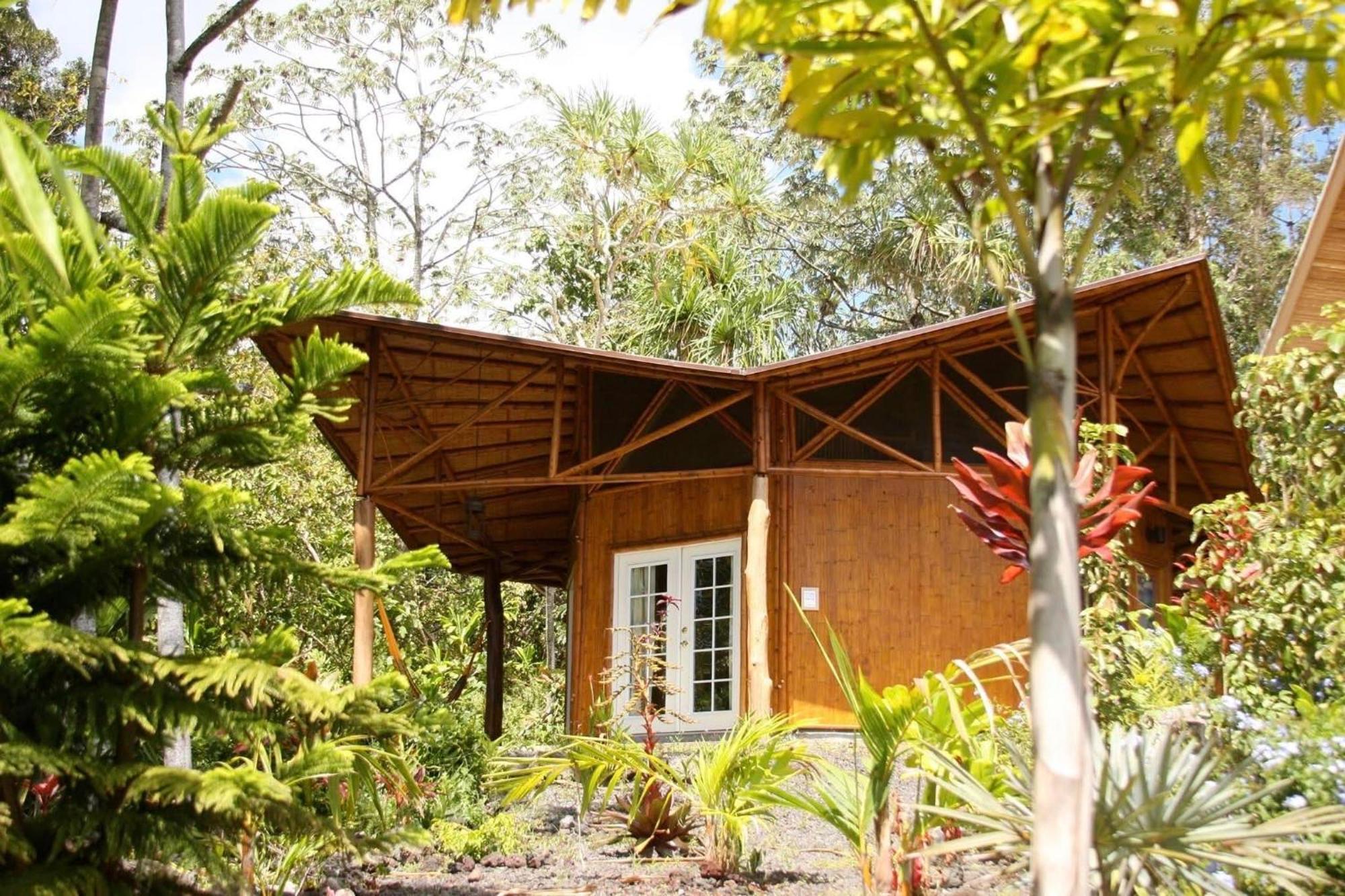 Kalani Oceanside Retreat Villa Pahoa Ngoại thất bức ảnh
