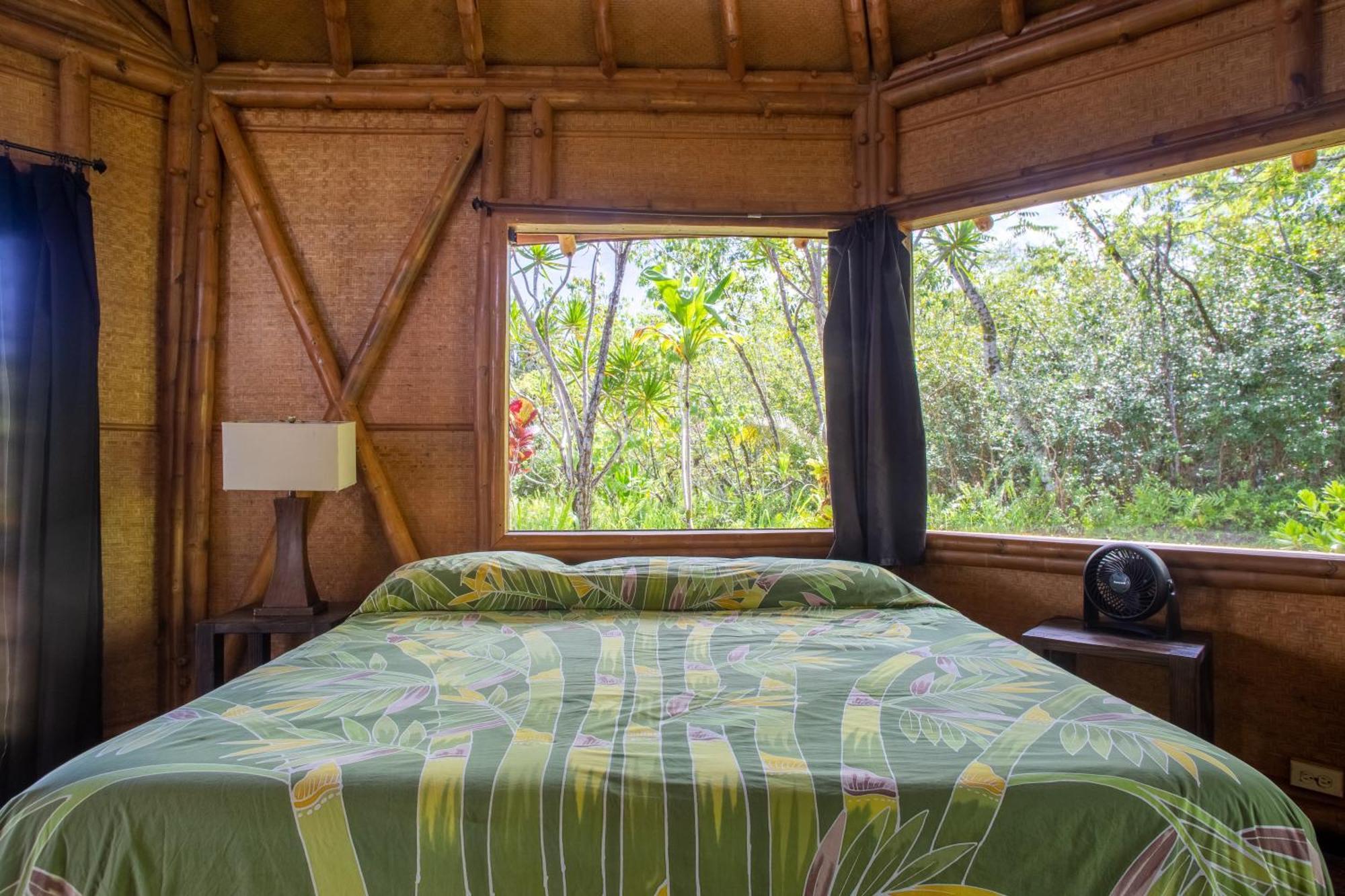 Kalani Oceanside Retreat Villa Pahoa Ngoại thất bức ảnh