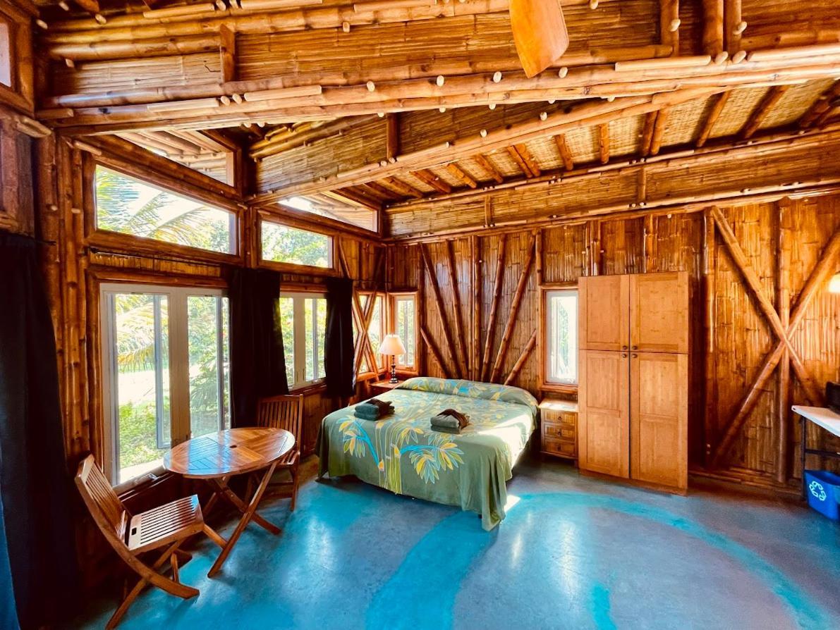 Kalani Oceanside Retreat Villa Pahoa Ngoại thất bức ảnh